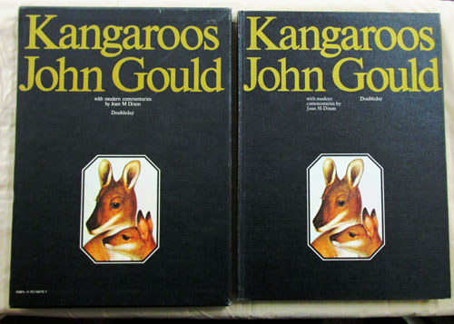 Kangaroos