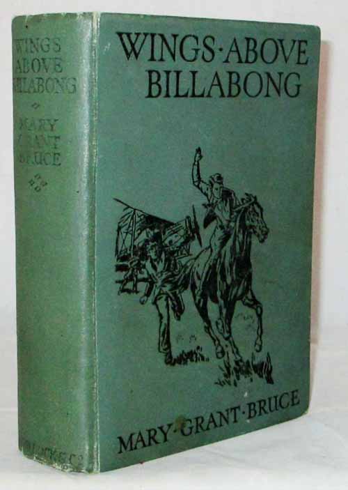 Wings Above Billabong