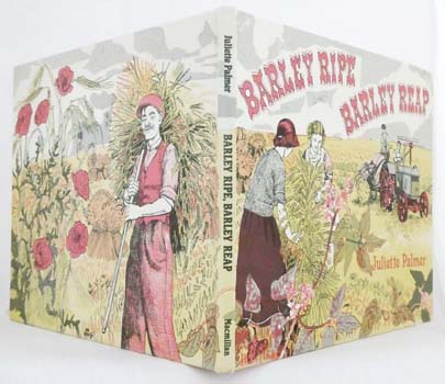 Barley Ripe Barley Reap