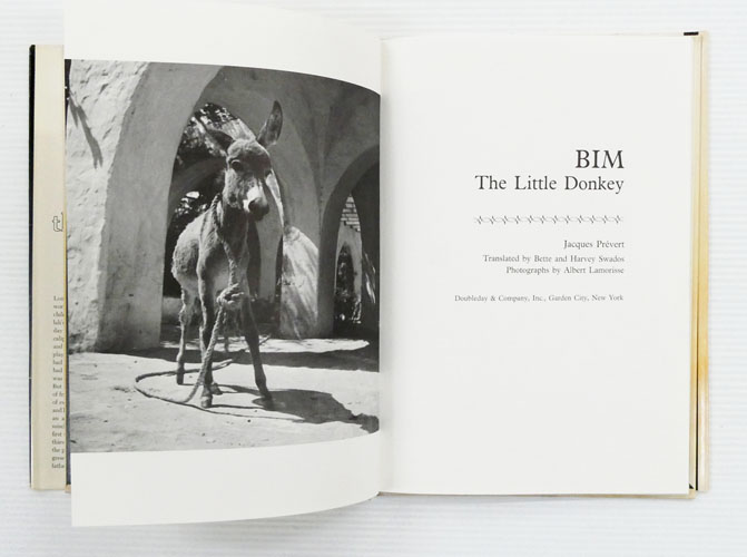 Bim : The Little Donkey