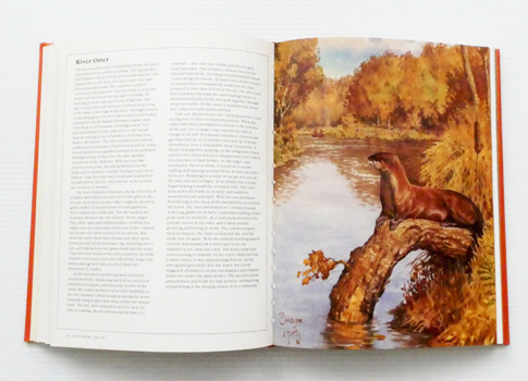 Mammals in North America : From Arctic Ocean to Tropical Rain Forest. Wildlife Adventure Stories and Technical Guide