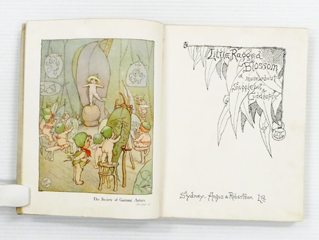 Little Ragged Blossom and more about Snugglepot and Cuddlepie