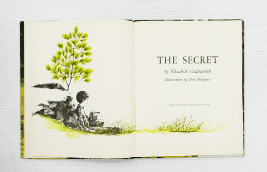 Image for The Secret The Secret