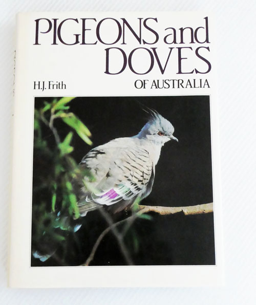 Pigeons and Doves of Australia