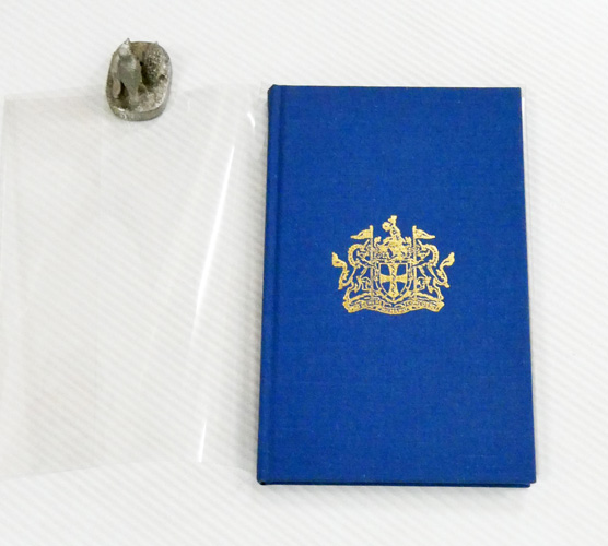 The South Australian Branch of the Australian Medical Association A Centenary History 1979