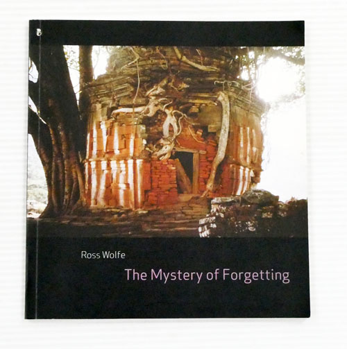 The Mystery of Forgetting