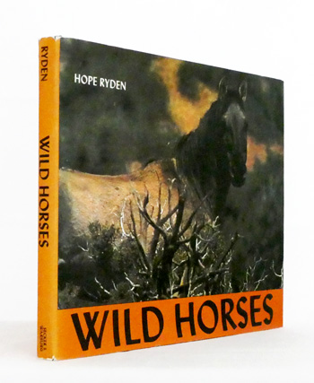 Wild Horses
