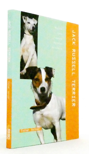 Jack Russell Terrier