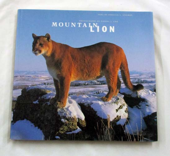 Mountain Lion