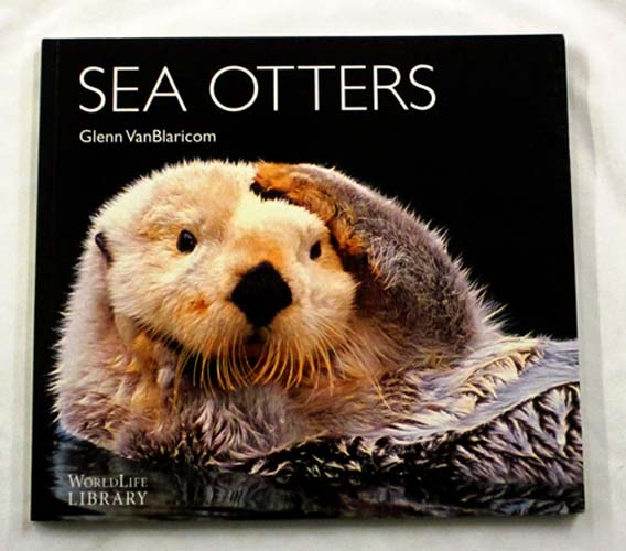 Sea Otters