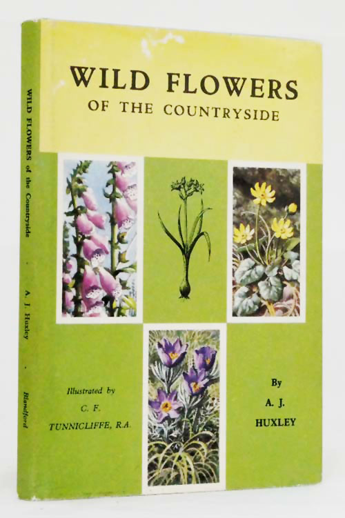 Wild Flowers Of The Countryside