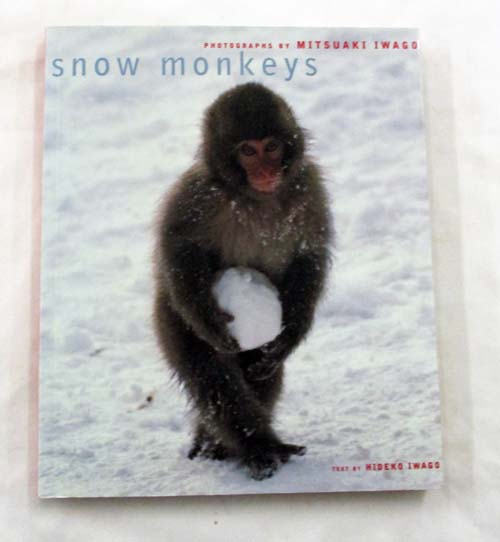 Snow Monkeys
