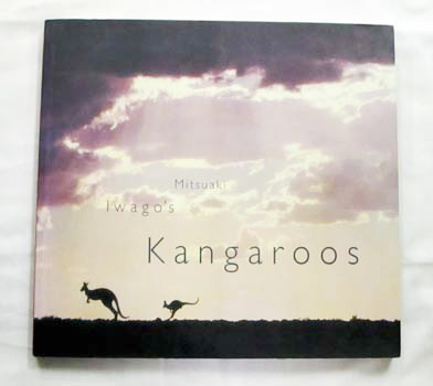 Mitsuaki Iwago's Kangaroos