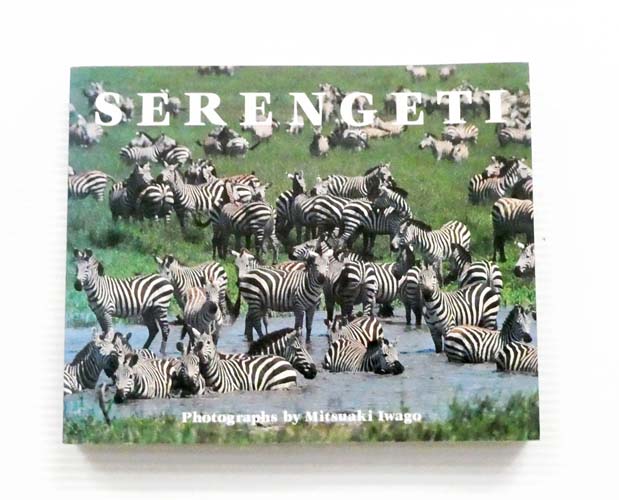 Serengeti Natural Order and the African Plain