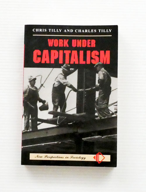 Image for Work Under Capitalism (New Perspectives in Sociology) Work Under Capitalism (New Perspectives in Sociology)