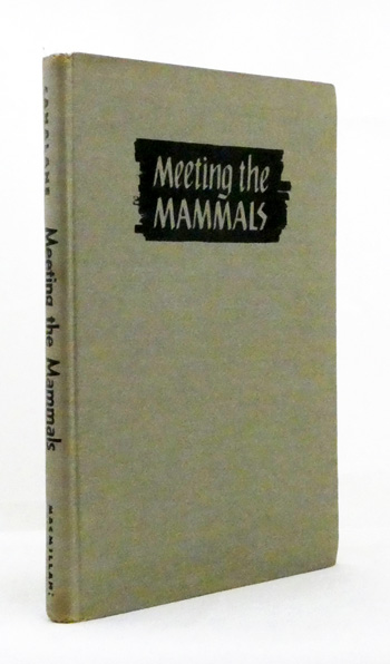 Image for Meeting the Mammals Meeting the Mammals