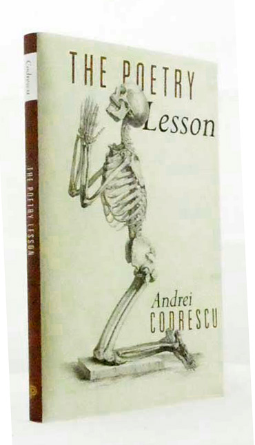 Image for The Poetry Lesson The Poetry Lesson