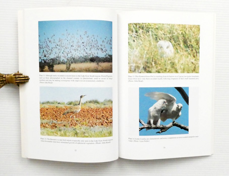 The Birds of Lake Eyre South Region Lake Eyre South Monograph Series Volume 3