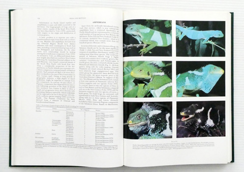 Image for The Biology of Australasian Frogs and Reptiles The Biology of Australasian Frogs and Reptiles